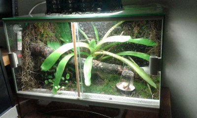 temporary vivarium