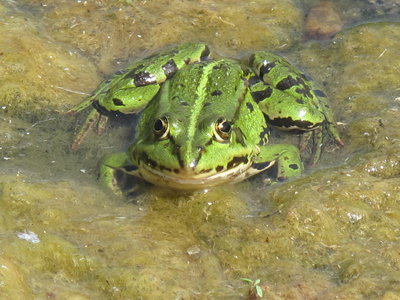 IMG_5707.JPG