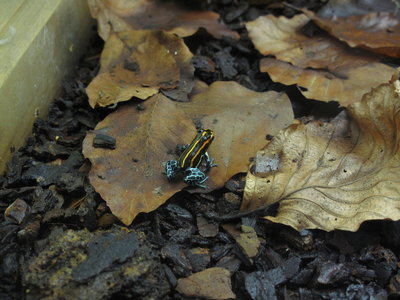 IMG_5965.JPG