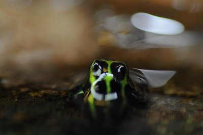 DSC_0894.jpg