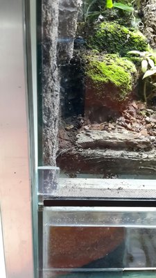 20160426_215816_resized (1).jpg