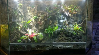Terrariet_160712.jpg