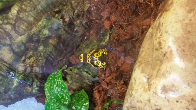 20170217_130704[1].jpg