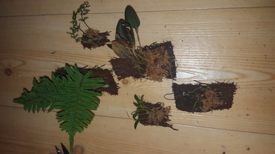 20170327_223429.jpg