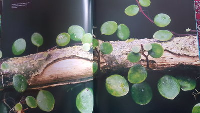 20170330_110346.jpg