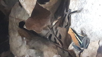 20170312_104651.jpg