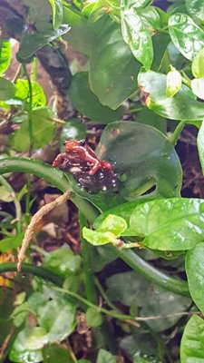 20170325_173038.jpg