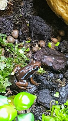 20170409_124832.jpg