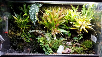 20170415_202625.jpg