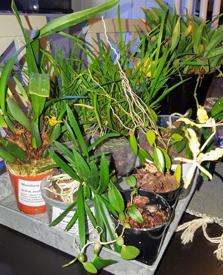 20170420_211527.jpg