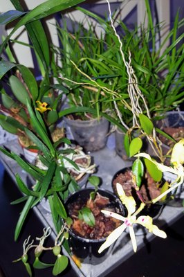 20170420_211649.jpg
