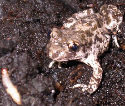 L0506 910.jpg