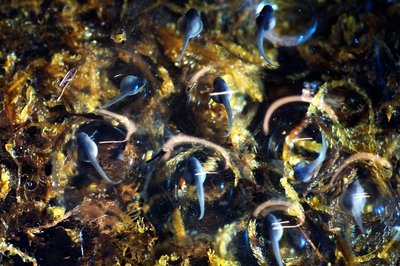 D14_3592.JPG