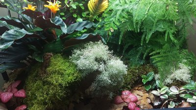 IMAG0409.jpg