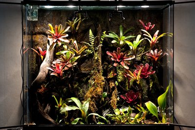 D14_3675.JPG