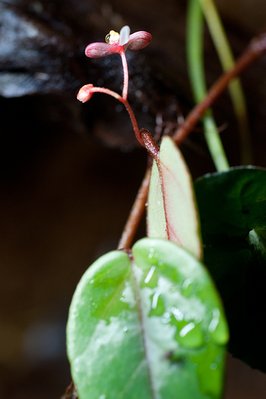 D14_3689 copy.JPG