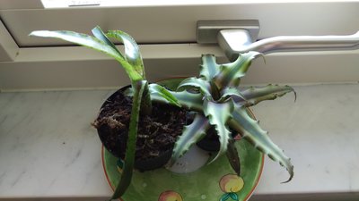 IMAG0445.jpg