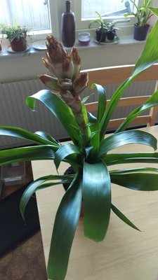 IMAG0447.jpg