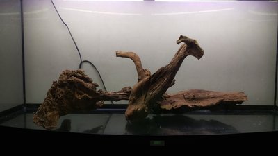 IMAG0451.jpg