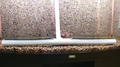 IMAG0462.jpg