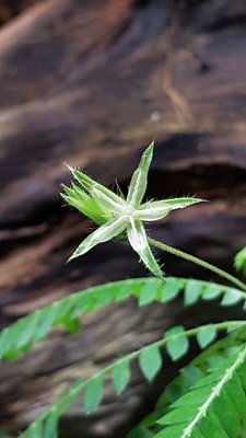 20170531_173017.jpg