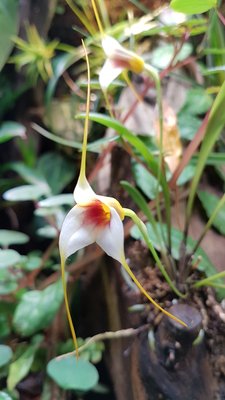 20170531_173305.jpg