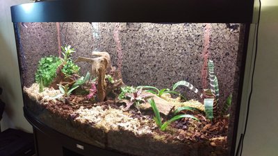 IMAG0484.jpg