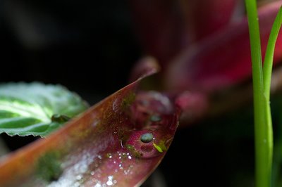 D14_3929.JPG