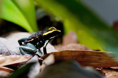 D14_3977.JPG