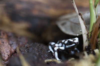D14_4088.JPG