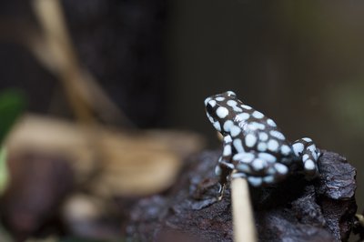 D14_4091.JPG