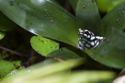 D14_4097.JPG
