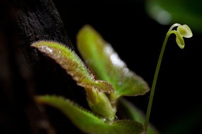 D14_4109.JPG
