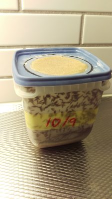 IMAG0647.jpg