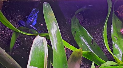 2017-10-21_16-13-19_HDR.jpg