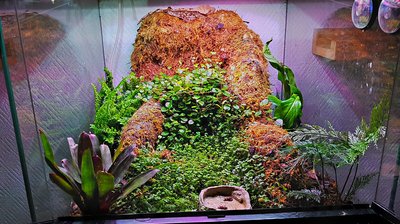 2017-10-21_16-14-25_HDR.jpg