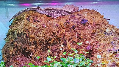 2017-10-21_16-14-35_HDR.jpg