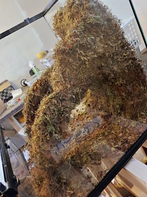 2017-07-29_14-47-29_HDR.jpg