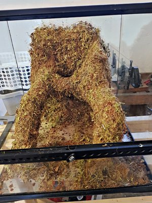 2017-07-29_14-47-17_HDR.jpg