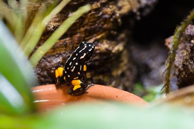 _IMG0044.jpg