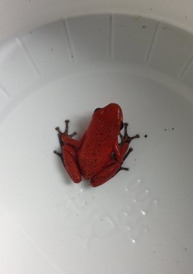 IMG_6971.JPG