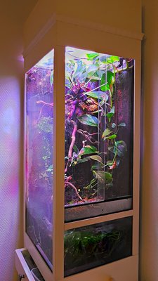 2017-12-06_19-15-32_HDR.jpg