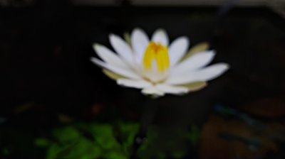 2017-11-30_05-34-10_HDR.jpg
