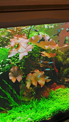2017-12-06_17-02-05_HDR.jpg