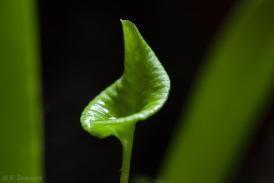 _IMG1406.jpg