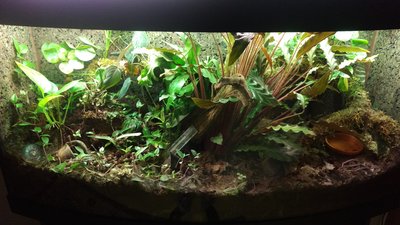IMAG0781.jpg