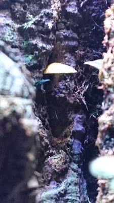 DSC_1064.JPG