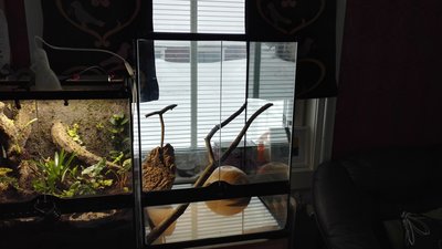 IMG_20180209_132754.jpg