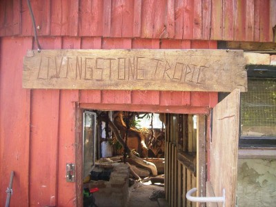 L.Stone tr.JPG