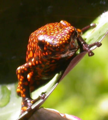 L0624 32b.jpg